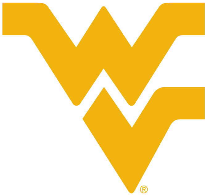 West Virginia Mountaineers 1980-Pres Alternate Logo v4 iron on transfers for fabric